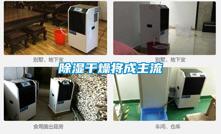 除湿干燥将成主流