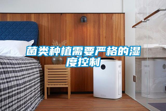 菌类种植需要严格的湿度控制