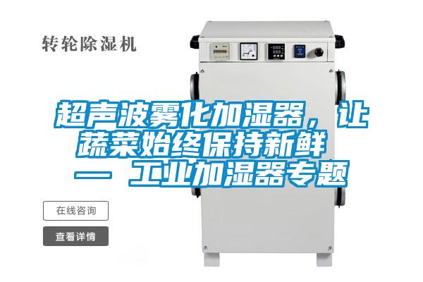 超声波雾化加湿器,让蔬菜始终保持新鲜 — 工业加湿器专题