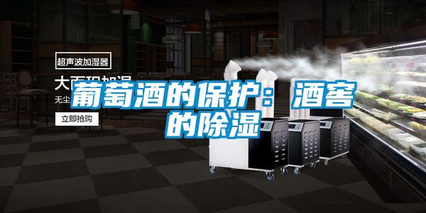 葡萄酒的保护：酒窖的除湿