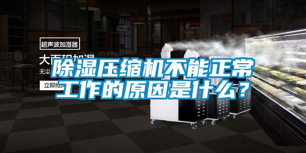除湿压缩机不能正常工作的原因是什么？
