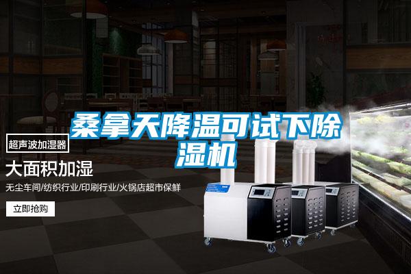 桑拿天降温可试下除湿机