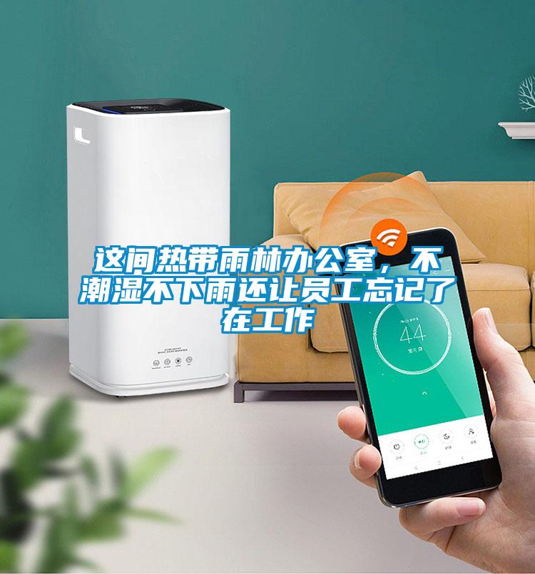 这间热带雨林办公室，不潮湿不下雨还让员工忘记了在工作