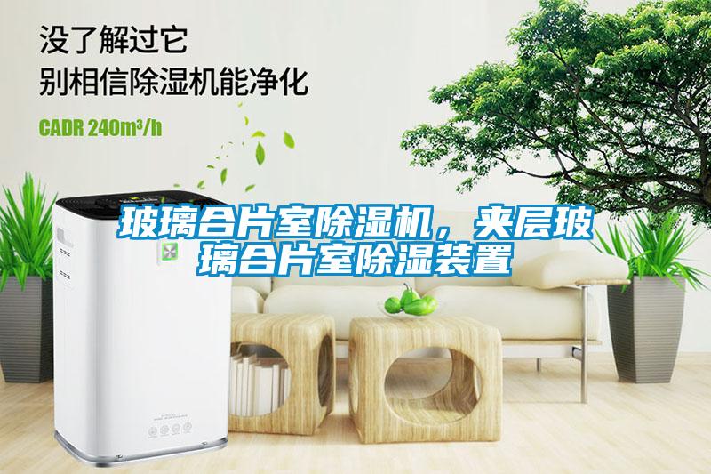玻璃合片室除湿机，夹层玻璃合片室除湿装置