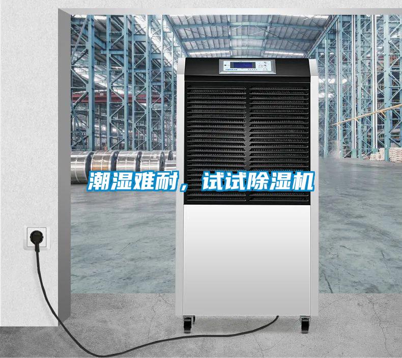 潮湿难耐，试试除湿机