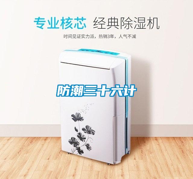 防潮三十六计