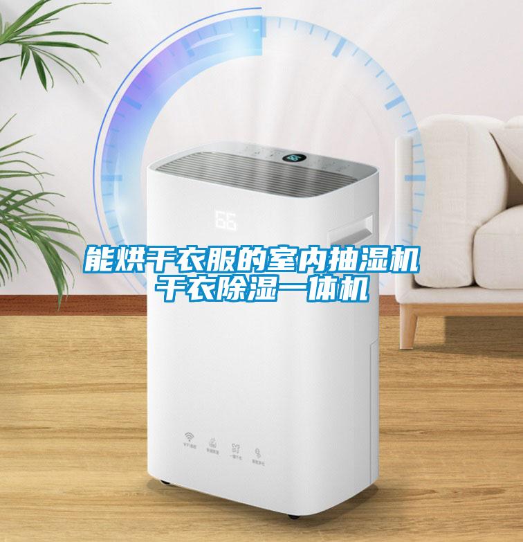 能烘干衣服的室内抽湿机 干衣除湿一体机