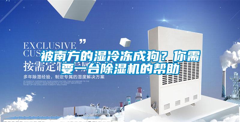 被南方的湿冷冻成狗？你需要一台除湿机的帮助