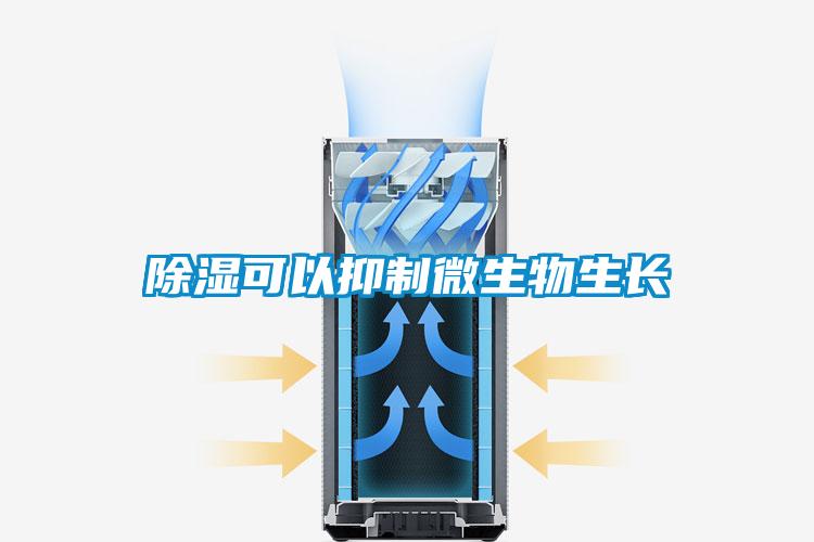 除湿可以抑制微生物生长