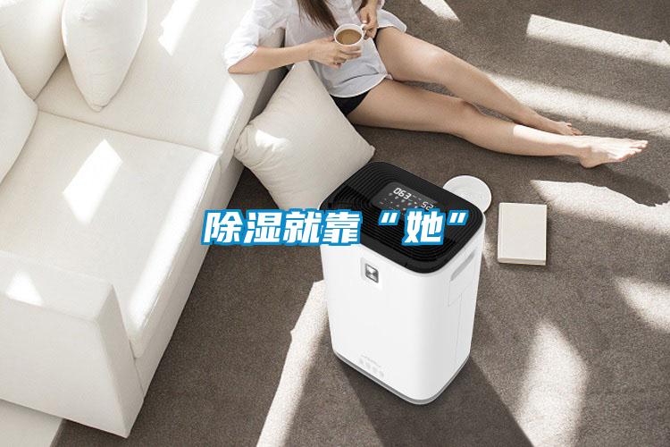 除湿就靠“她”