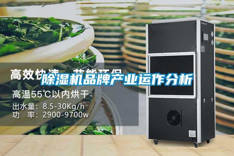 除湿机品牌产业运作分析