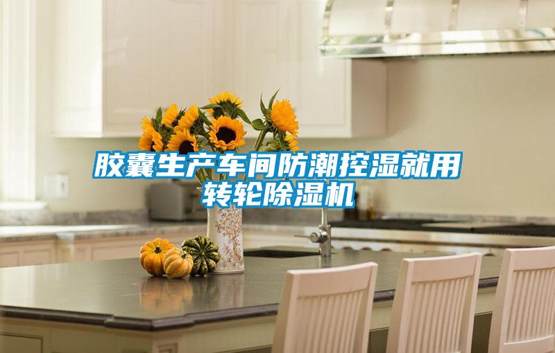 胶囊生产车间防潮控湿就用转轮除湿机