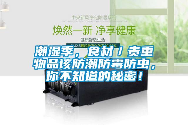 潮湿季，食材／贵重物品该防潮防霉防虫，你不知道的秘密！