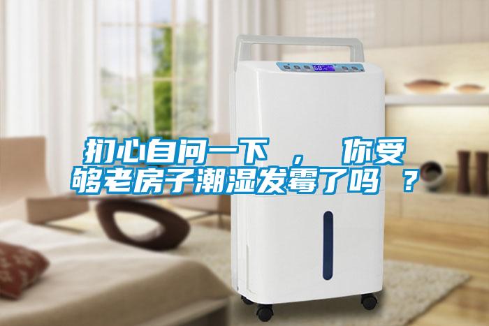 扪心自问一下 ， 你受够老房子潮湿发霉了吗 ？