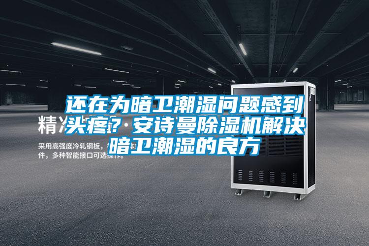 还在为暗卫潮湿问题感到头疼？安诗曼除湿机解决暗卫潮湿的良方