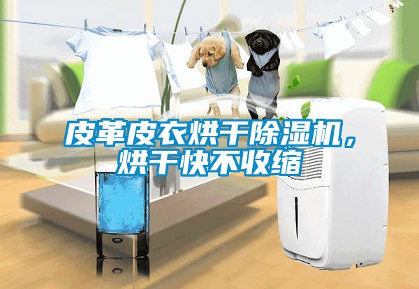 皮革皮衣烘干除湿机，烘干快不收缩