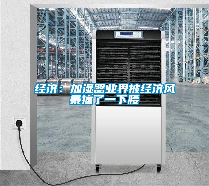 经济：加湿器业界被经济风暴撞了一下腰