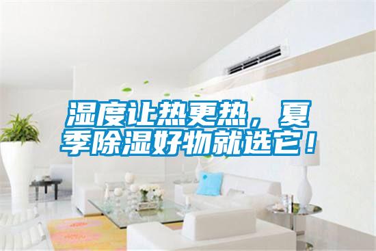 湿度让热更热，夏季除湿好物就选它！