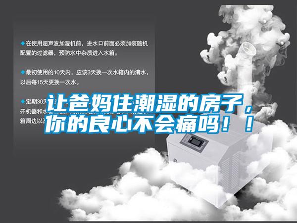 让爸妈住潮湿的房子，你的良心不会痛吗！！