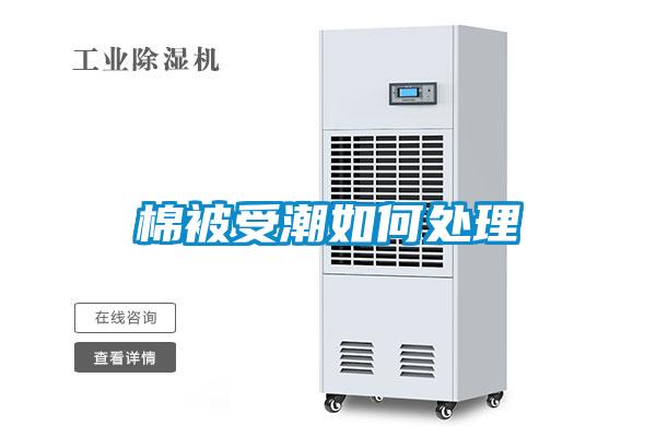 棉被受潮如何处理