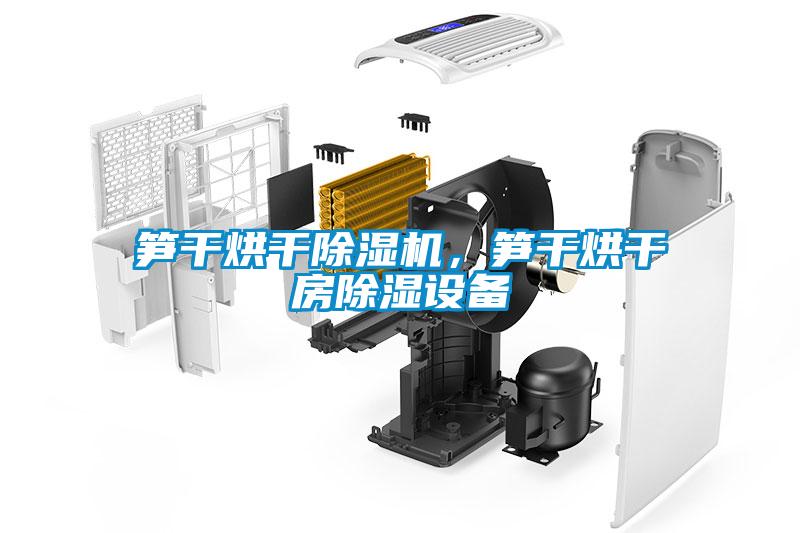 笋干烘干除湿机，笋干烘干房除湿设备