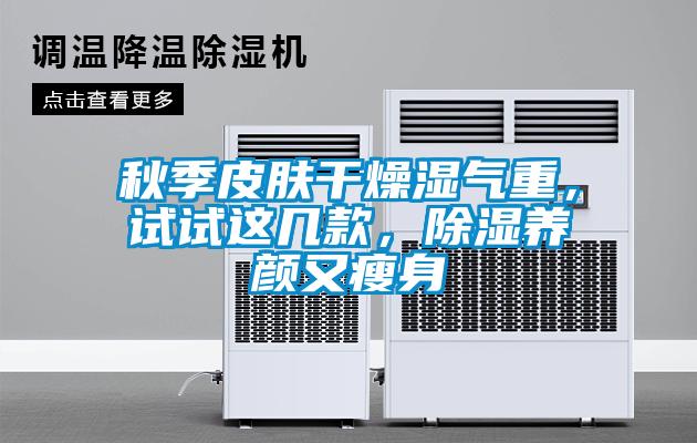 秋季皮肤干燥湿气重，试试这几款，除湿养颜又瘦身