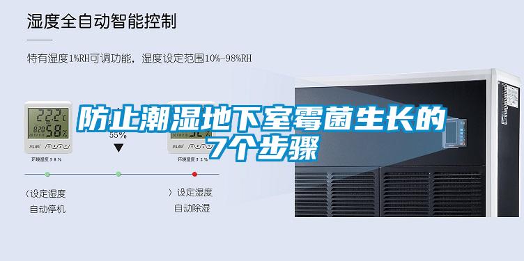 防止潮湿地下室霉菌生长的7个步骤