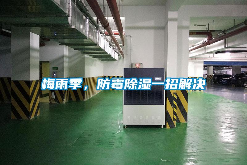 梅雨季，防霉除湿一招解决