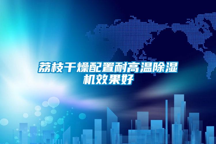 荔枝干燥配置耐高温除湿机效果好