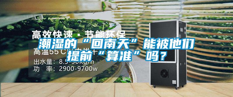 潮湿的“回南天”能被他们提前“算准”吗？