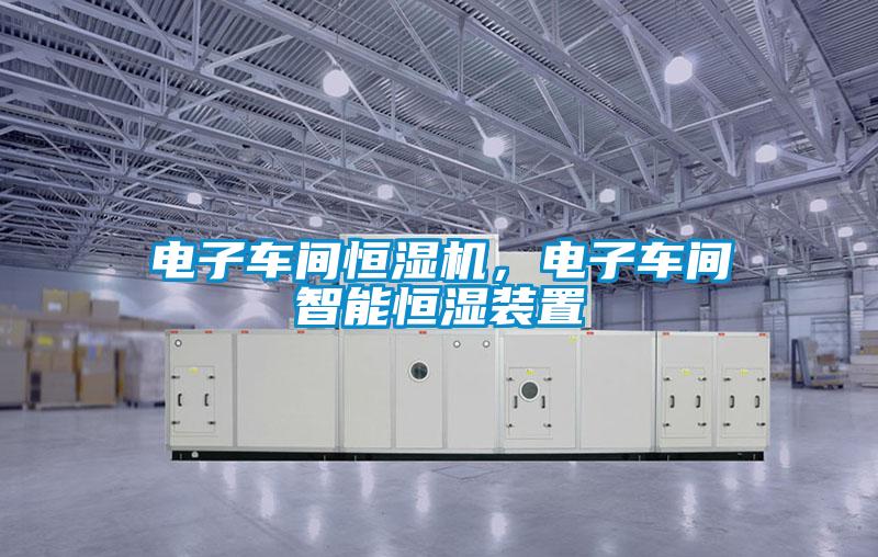 电子车间恒湿机，电子车间智能恒湿装置