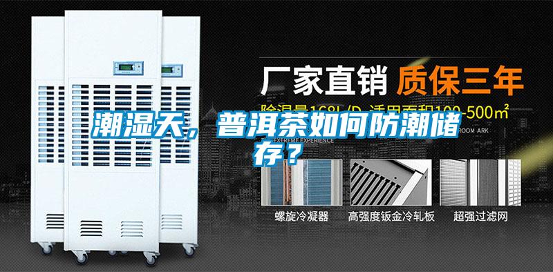 潮湿天，普洱茶如何防潮储存？