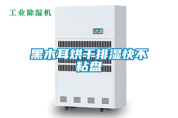 黑木耳烘干排湿快不粘盘