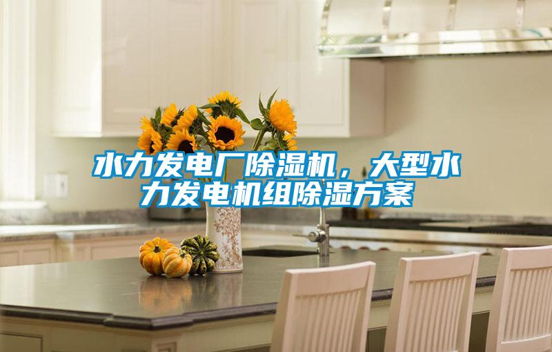 水力发电厂除湿机，大型水力发电机组除湿方案
