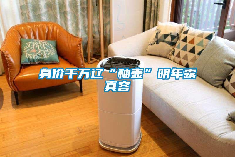 身价千万辽“釉壶”明年露真容