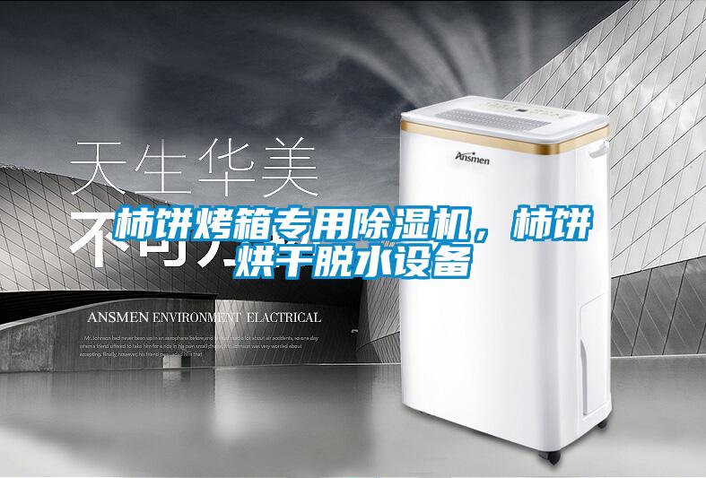 柿饼烤箱专用除湿机,柿饼烘干脱水设备