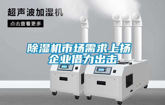 除湿机市场需求上扬 企业借力出击