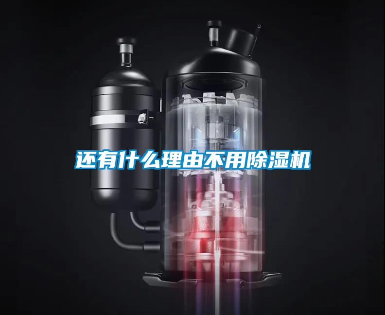 还有什么理由不用除湿机