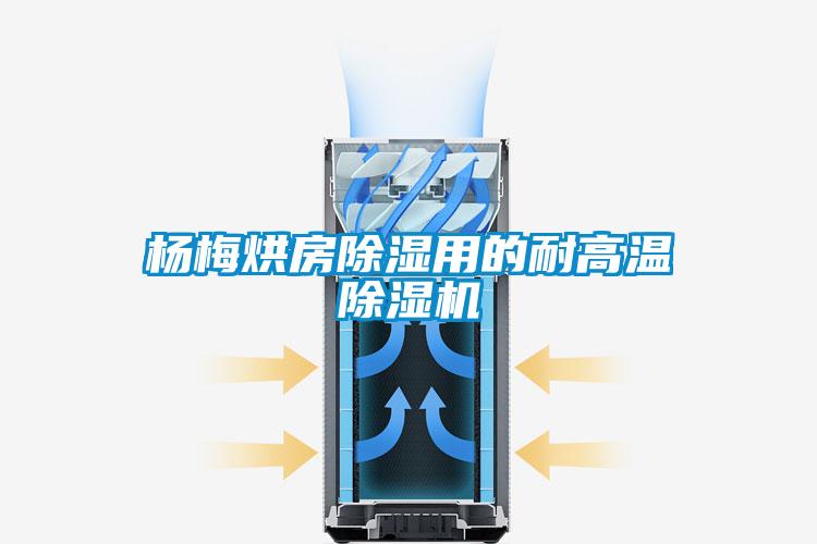 杨梅烘房除湿用的耐高温除湿机