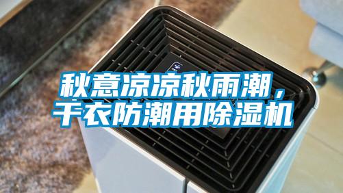 秋意凉凉秋雨潮，干衣防潮用除湿机