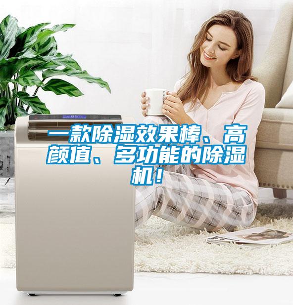 一款除湿效果棒、高颜值、多功能的除湿机！