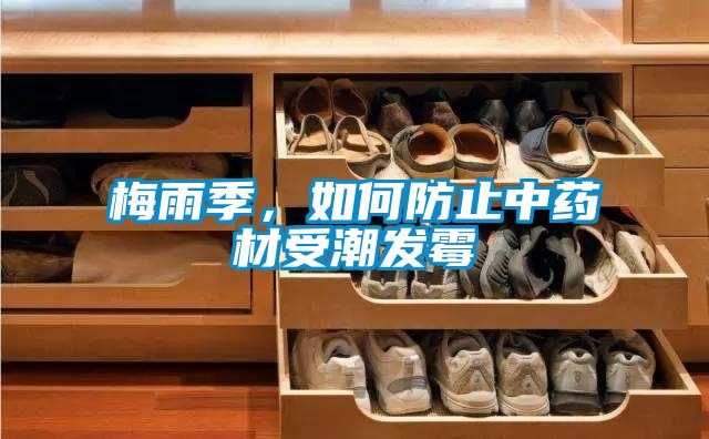 梅雨季，如何防止中药材受潮发霉