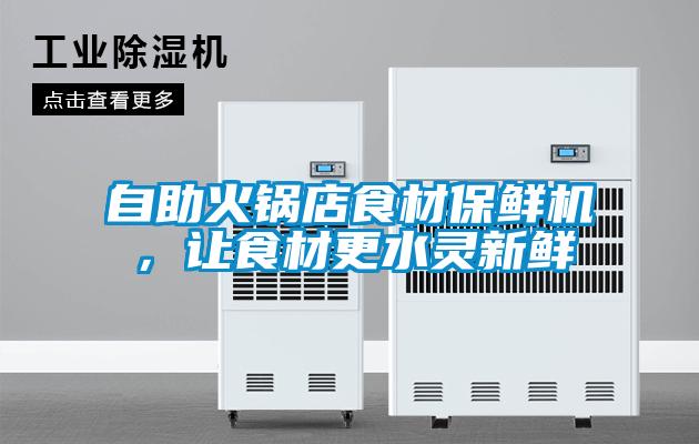 自助火锅店食材保鲜机,让食材更水灵新鲜