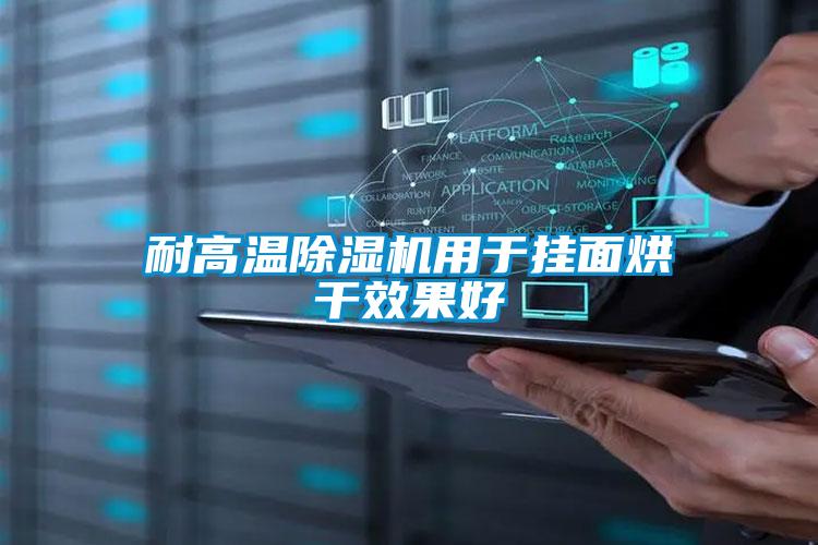 耐高温除湿机用于挂面烘干效果好