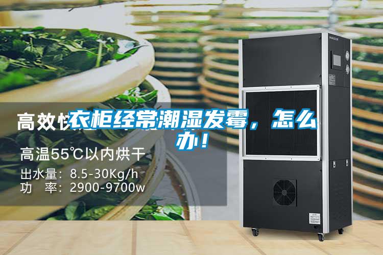 衣柜经常潮湿发霉，怎么办！
