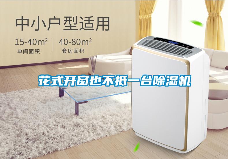 花式开窗也不抵一台除湿机