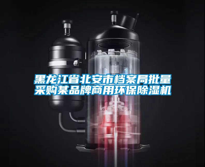 黑龙江省北安市档案局批量采购某品牌商用环保除湿机
