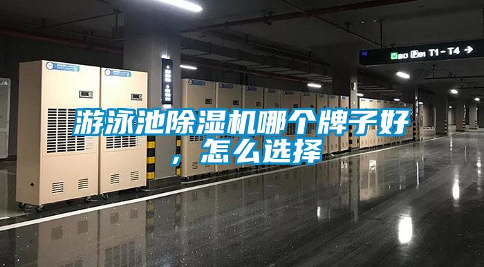 游泳池除湿机哪个牌子好，怎么选择