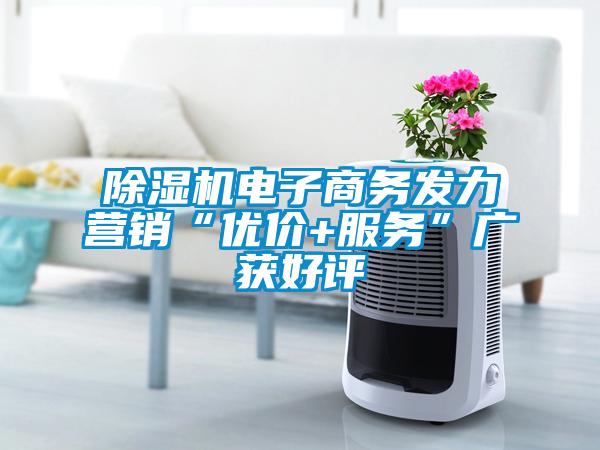 除湿机电子商务发力营销“优价+服务”广获好评