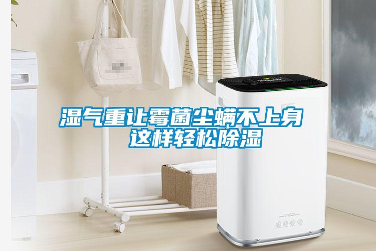 湿气重让霉菌尘螨不上身  这样轻松除湿